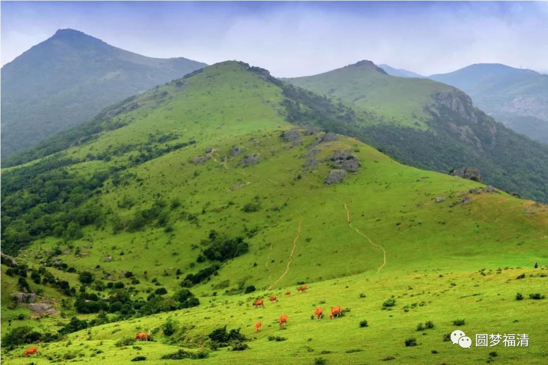 在福清,有一个以弥勒佛石造像而闻名全国的景区,叫瑞岩山风景区.