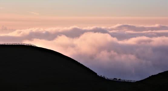 轻风拂晨雾全文免费阅读 04d82f81b677492cbb5817adcf93ba14.jpeg