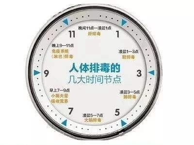 05d2a23e1b204fb1b72825f599438a98.jpeg