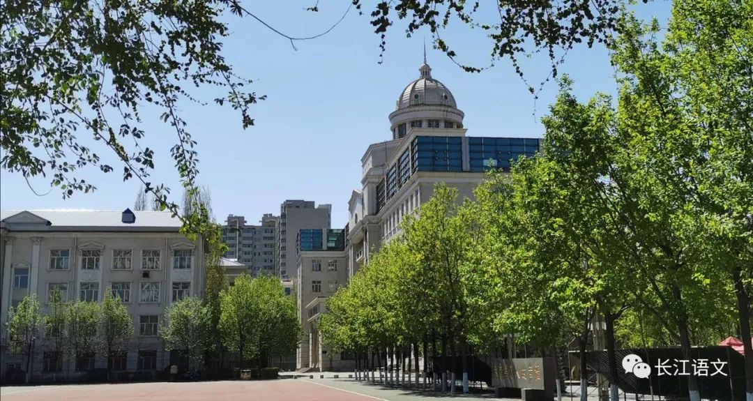 【原创散文】孩子,我忽然想你们了