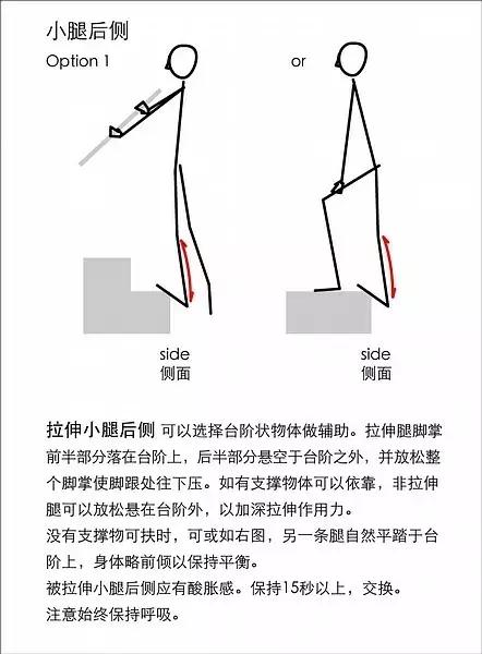 肌肉拉伸的原理是什么_肌肉拉伸动作图解