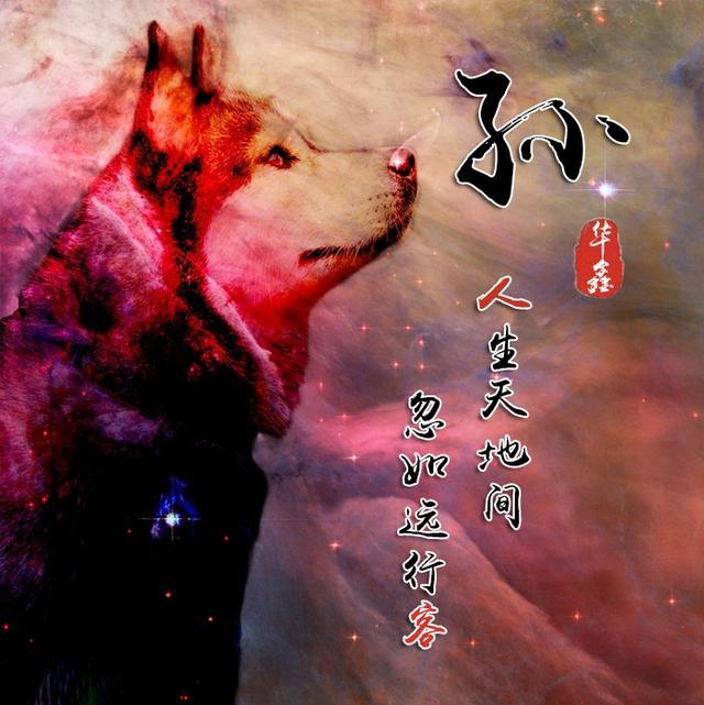一组励志血性狼姓氏头像,微信头像,送给在困境中坚持梦想的你!