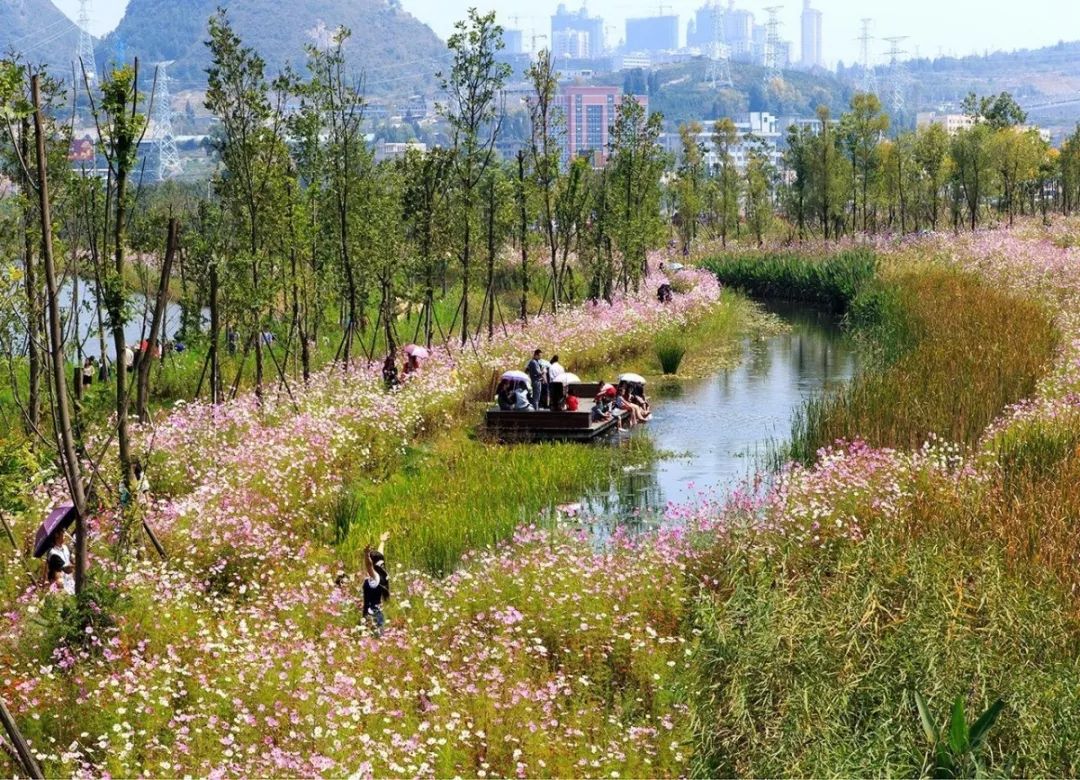 城市小型人工湿地公园案例研究