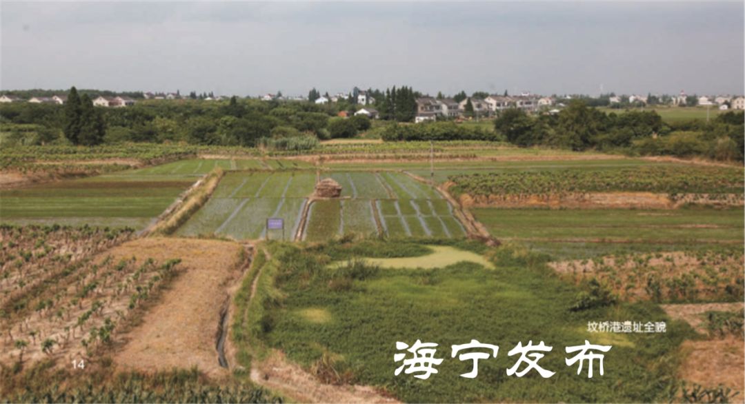 马他耳人口_人口普查(2)