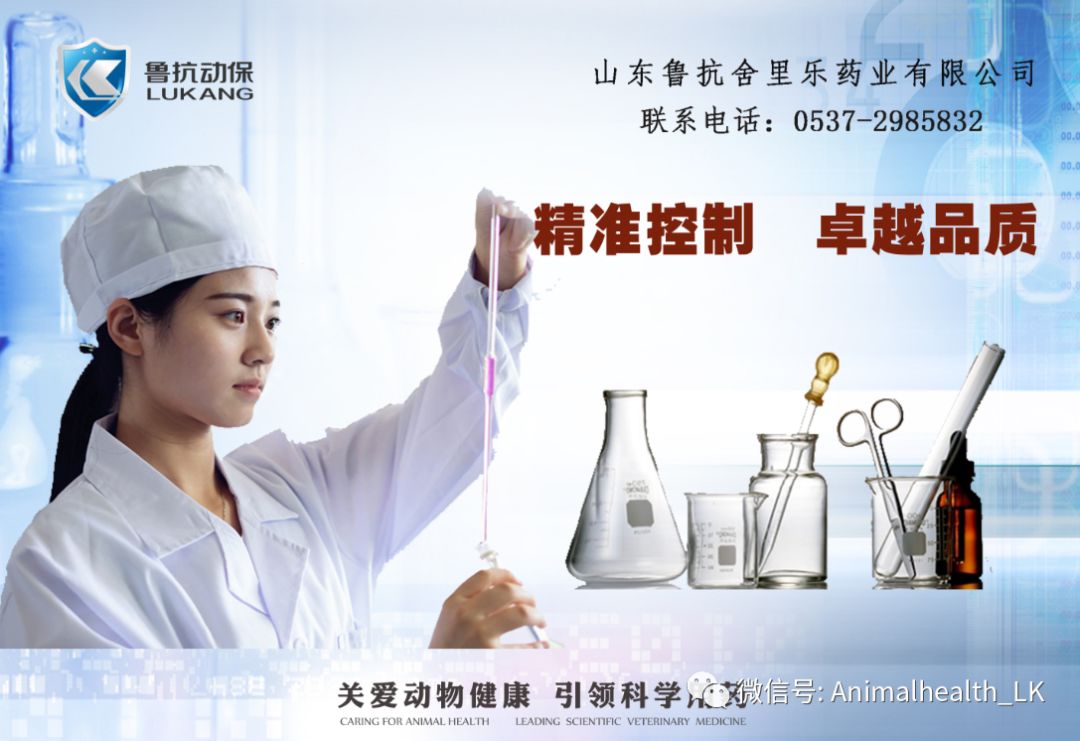 鲁抗动保—2019中国奶业展览会邀您共赴盛会!
