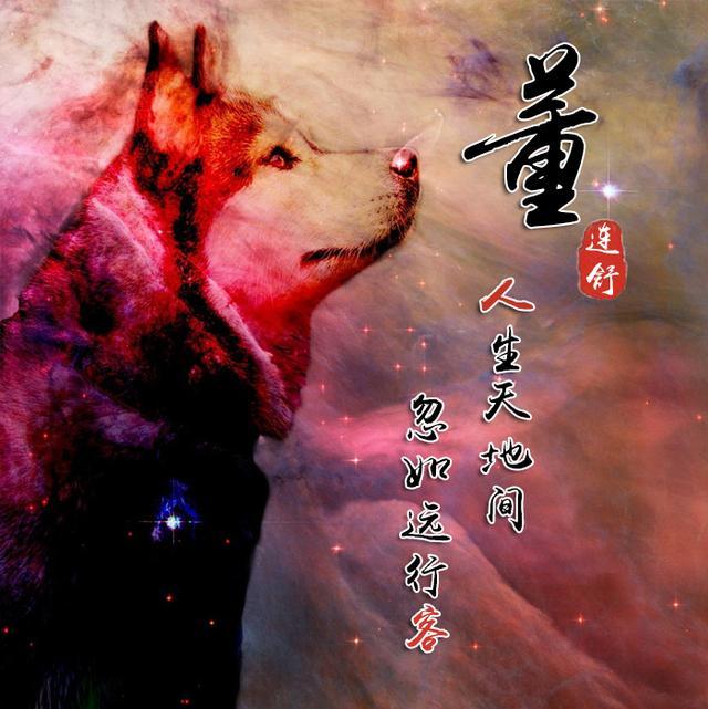 一组励志血性狼姓氏头像,微信头像,送给在困境中坚持梦想的你!