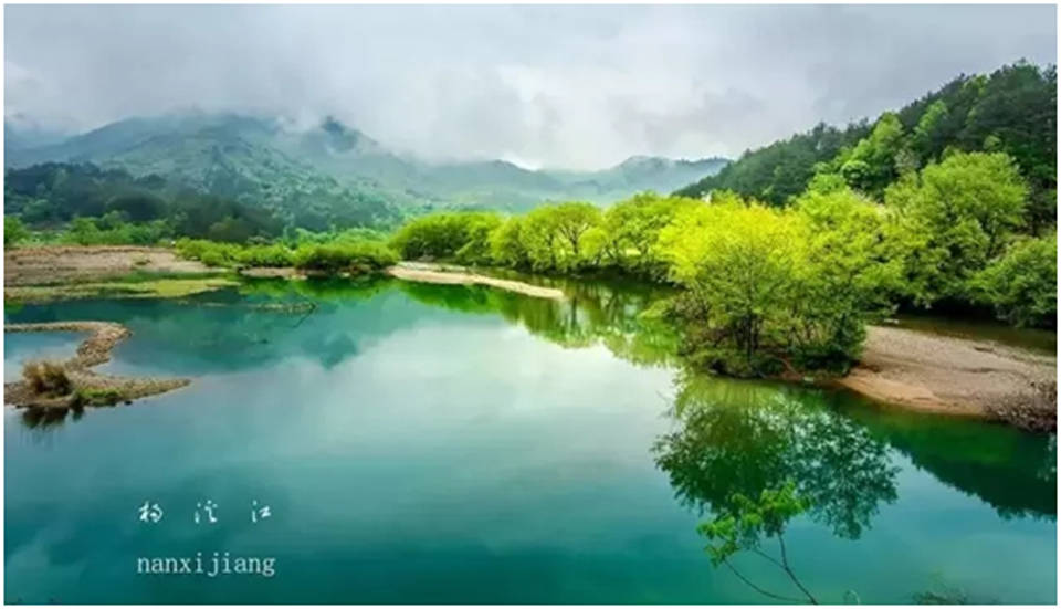 永嘉各镇经济总量_永嘉麦饼图片(2)