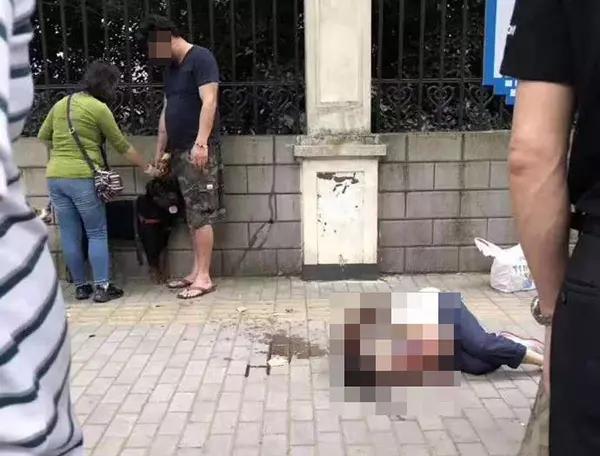 大狗咬伤日籍女子,网友却更关注:这是禁养犬,咋办的狗证?