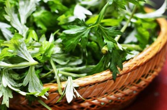 艾草干什么用的 307080ebdd494c42b73419791ff0d638.jpeg