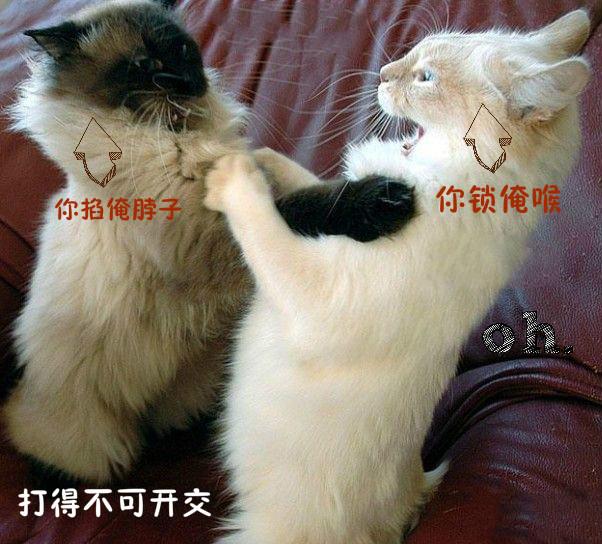 30d500c24a044d19bb75a363d185da83.jpeg