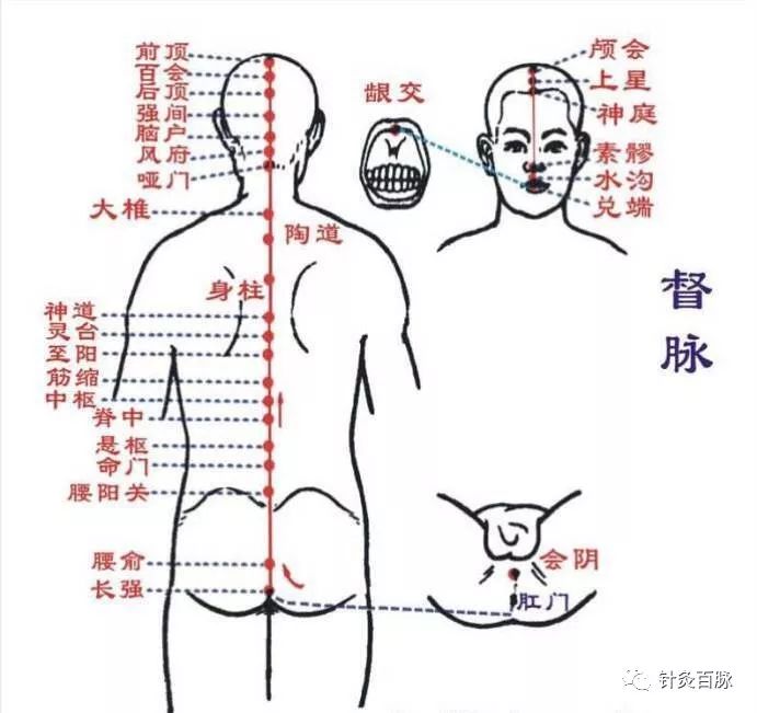 中医外治法有哪些特点 3bb39429b8ee484c94e419b3c25f238b.jpeg