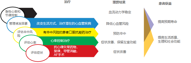 汇报专家丨曾武涛教授中山大学附属第一医院