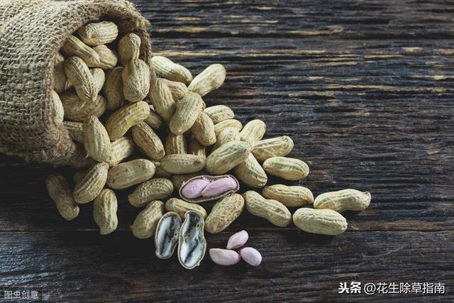 花生米价格趋势 47ba436841a14111b02390e3c85b6420.jpeg