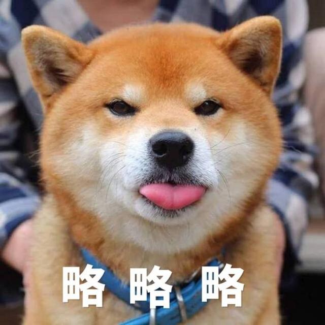 绿配蓝为什么惹人嫌 513a924958ca43c2a3b4bb438069cdc8.jpeg