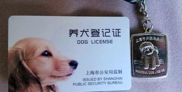 大狗咬伤日籍女子,网友却更关注:这是禁养犬,咋办的狗证?