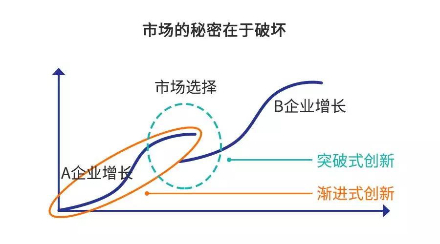 人的第一性原理应注意什么_头皮毛囊炎应注意什么(2)