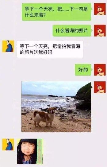 5ab86b75b29f438f82a57bde5cf6d2d8.jpeg