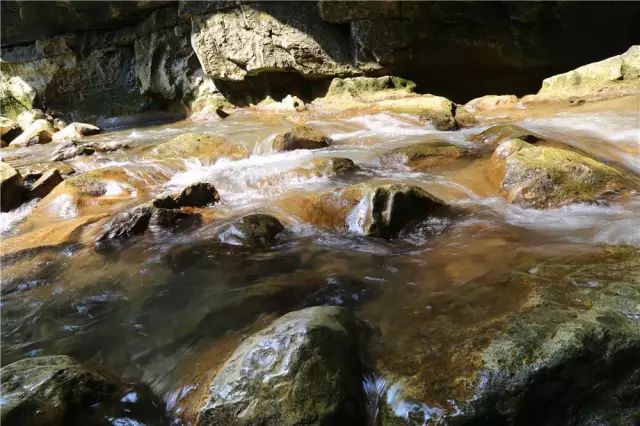 峡谷之魅——唯美短剧的视觉盛宴，峡谷之魅，视觉盛宴的唯美短剧