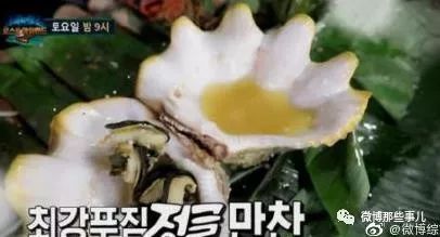 闯祸了!韩国女星拍节目吃了泰国的濒危保护动
