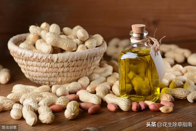 花生米价格趋势 6b4033da513d4c99b4ce41c7ac54ceec.jpeg