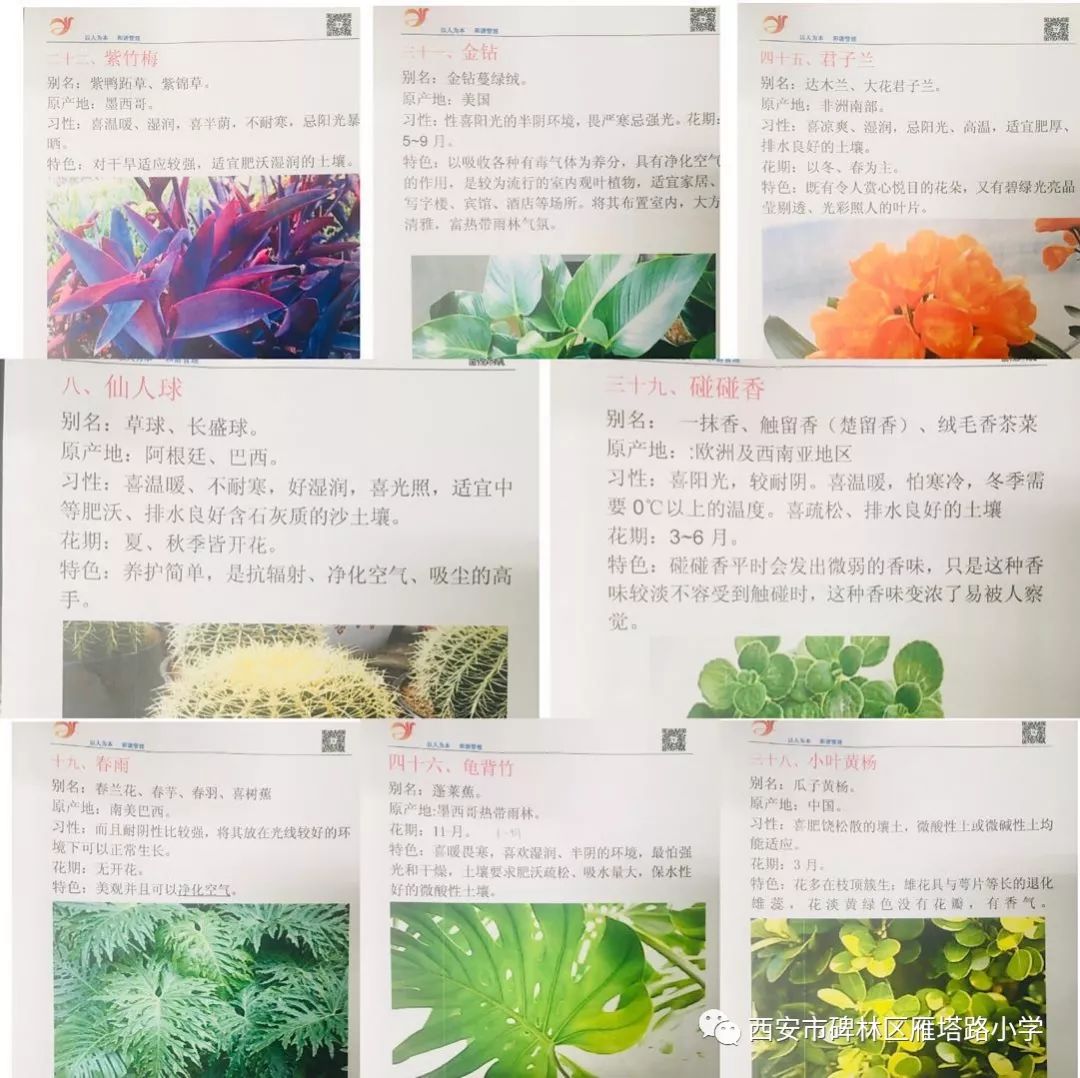 跟植物有关的诗歌有哪些？
