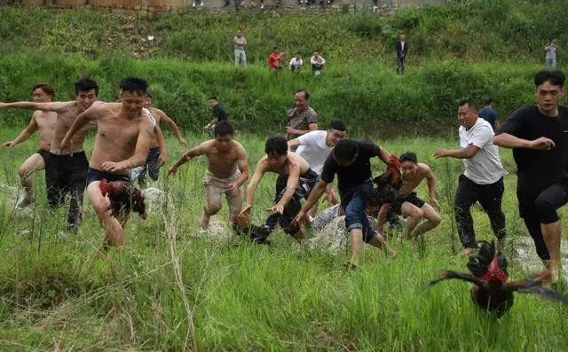 贵阳市布依族人口多少人_贵阳市人口流入流出量