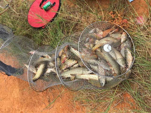 怎么选鱼漂的最好方法 7d04c4f7dcd2406aa90f85d98b37f607.jpeg