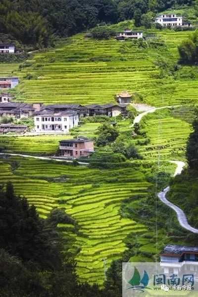 苏坑人口_人口普查图片(2)
