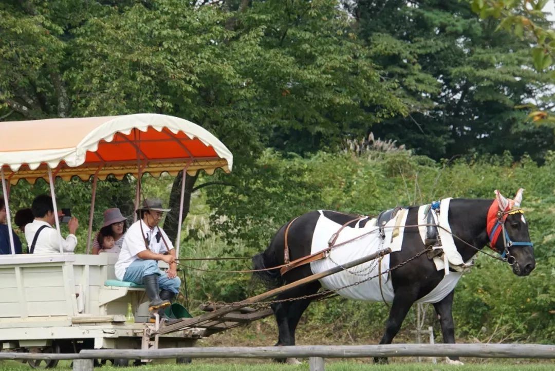 原创【20个日本农场案例】:富田农场-母亲农场-小岩井农场(1)