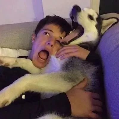 男生头像 | 沙雕搞怪头像