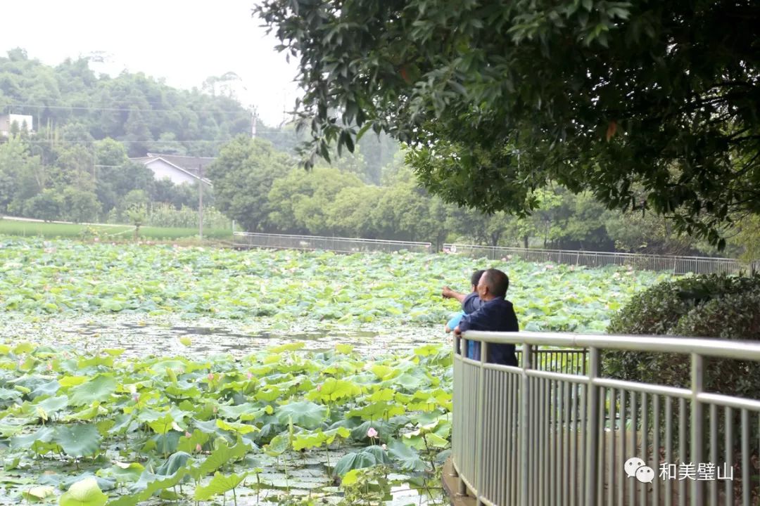 正兴镇人口_景谷正兴镇辖村