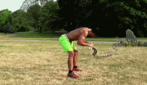 82eaf2f44005486a9453a3664fb50432.gif
