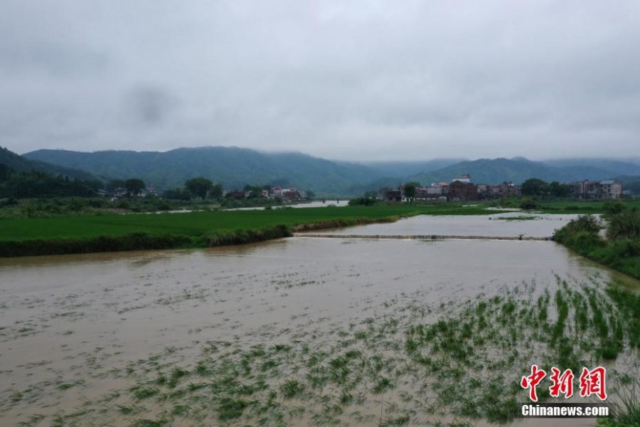 洪涝致江西40.7万人受灾 航拍农田被淹情况