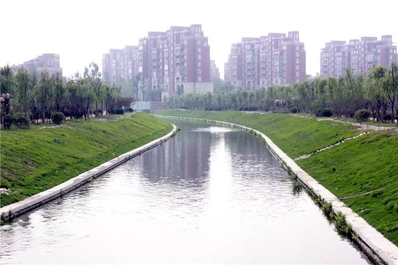 2020年临沂各县区的g_临沂2020年房价变化