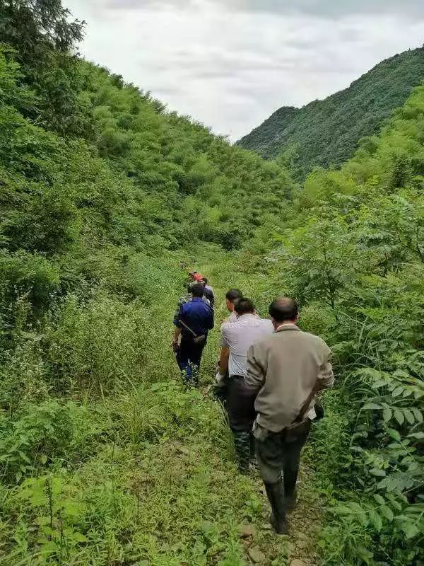 衢州某村民上山采粽叶天黑了人却不见踪影