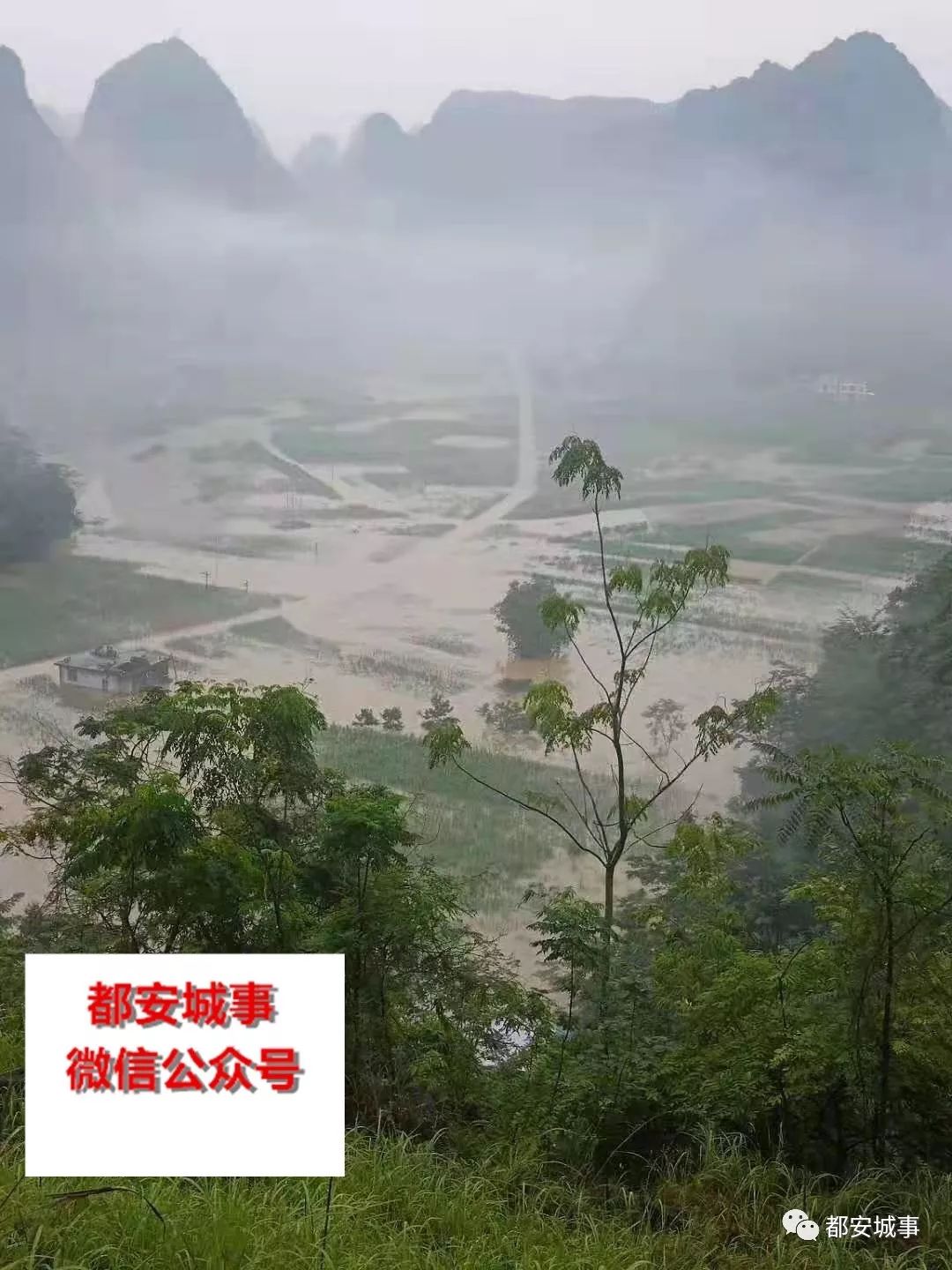 暴雨,都安一所三层民宅瘫塌,多地受灾