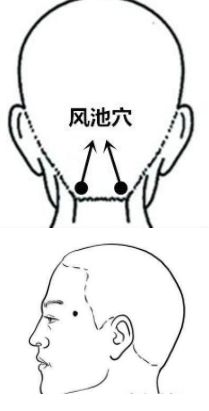 a28daafa5a5a42caaa49c3028ed4d22f.jpeg