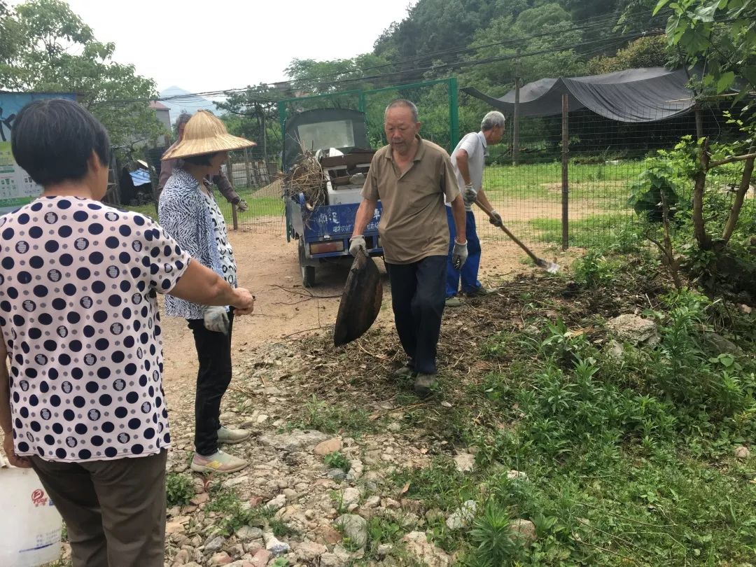 双塔街道开展农村环境卫生整治夏季攻势