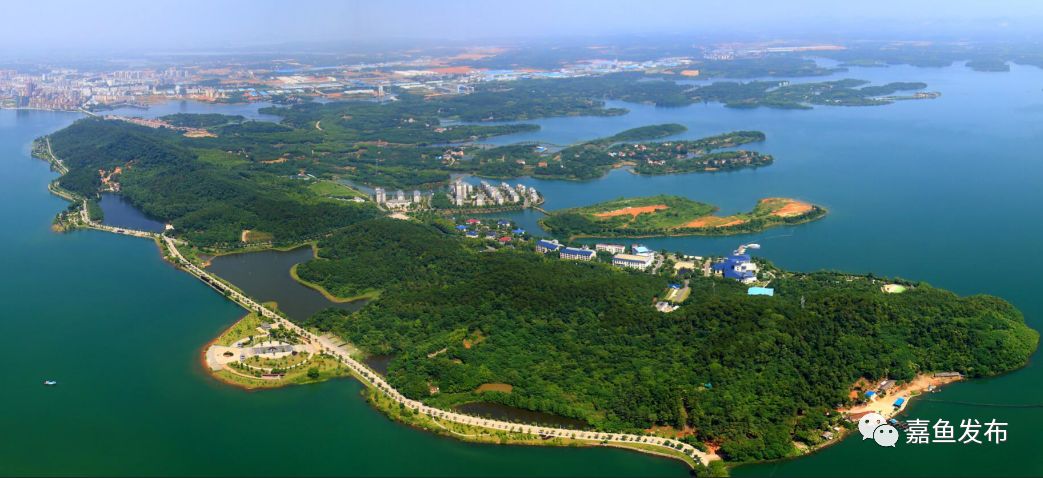 省报关注三湖连江的独白两年还给我2470亩湖面
