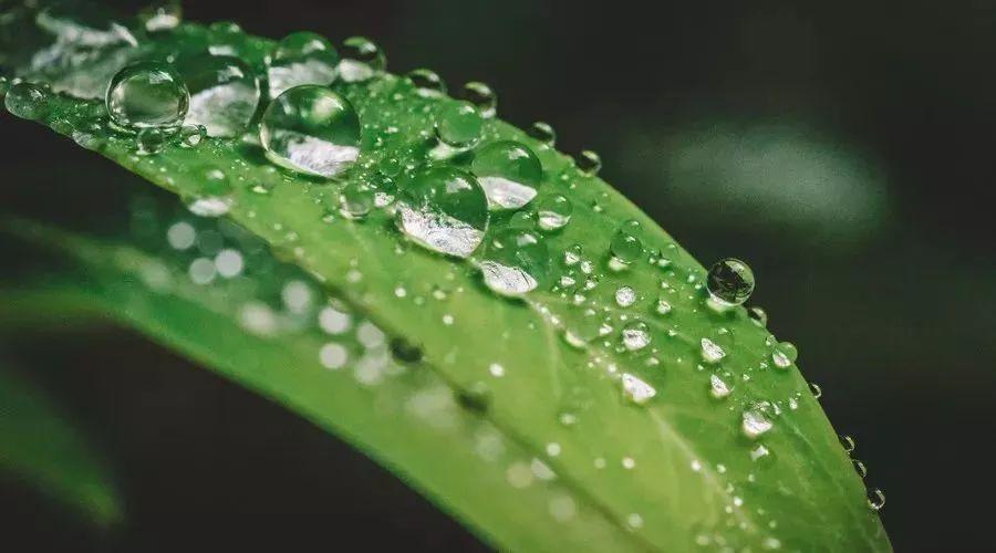 风雨人生,淡然相随!