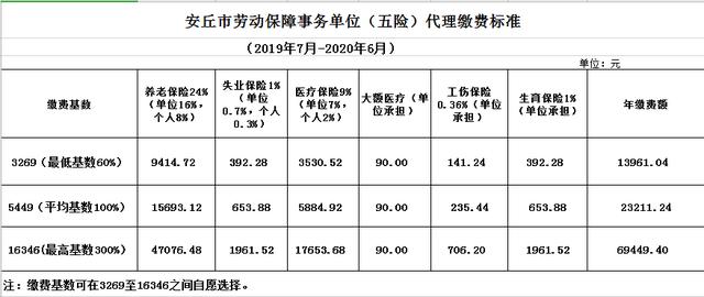 农村人口社保缴纳方式_社保缴纳证明