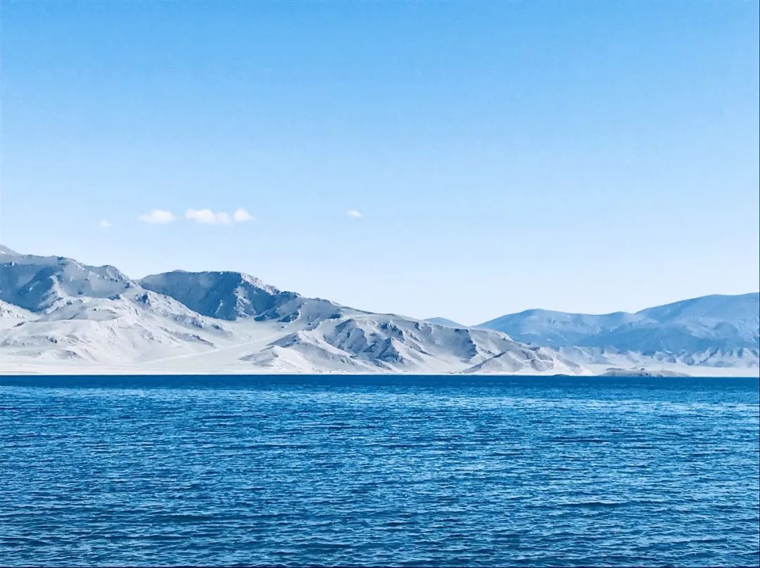 伊犁60000亩熏衣草花开成海,美哭全世界,是时