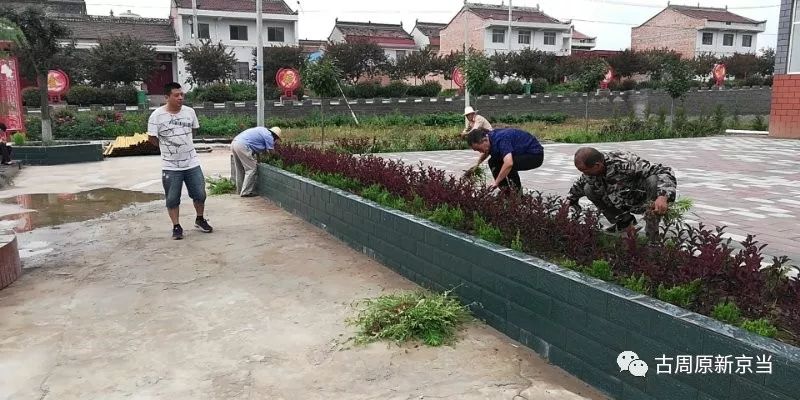 岐阳村人口_阴阳师八岐大蛇图片