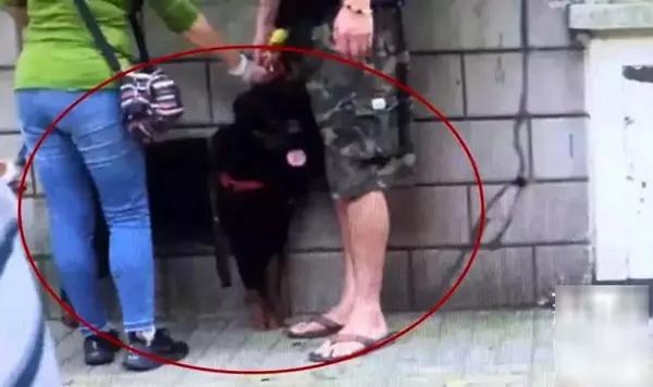 大狗咬伤日籍女子,网友却更关注:这是禁养犬,咋办的狗证?