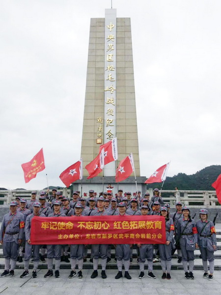 龙岩市武平县岩前镇经济总量_福建省龙岩市武平县