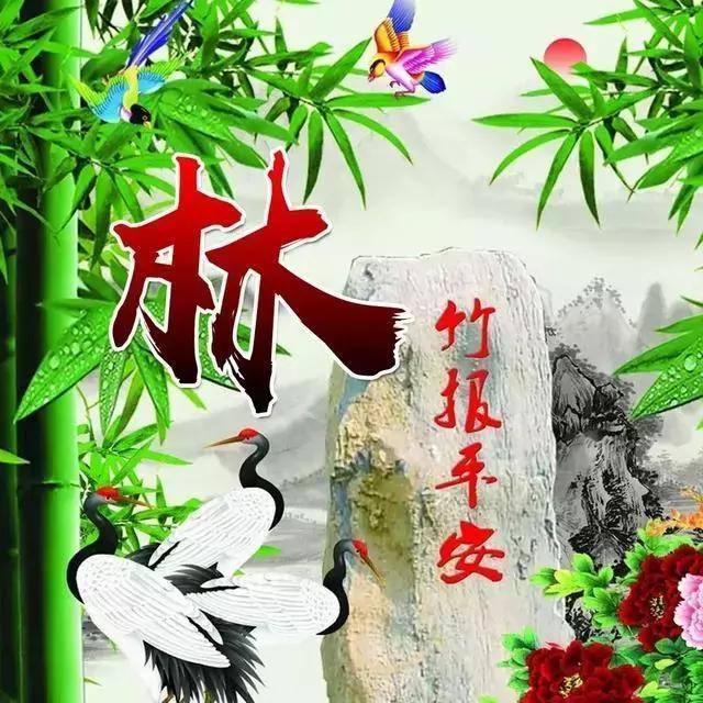 你该换一个微信头像了,吉祥如意翠竹报平安姓氏头像,喜欢请带走