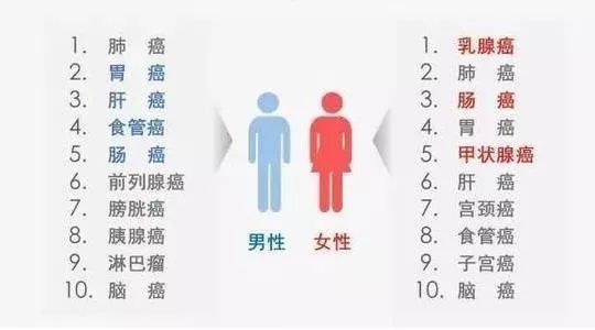 泰国什么烟适合中国人口味_泰国租妻中国人图片(2)
