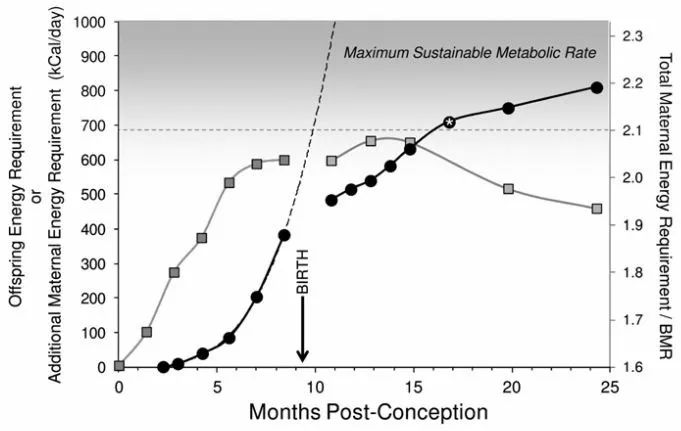 什么是基础代谢值 d10042e4f5b2448280957dd1a9c5d5f0.jpeg