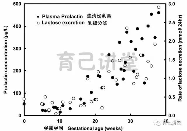玩转泌乳一文读懂泌乳原理