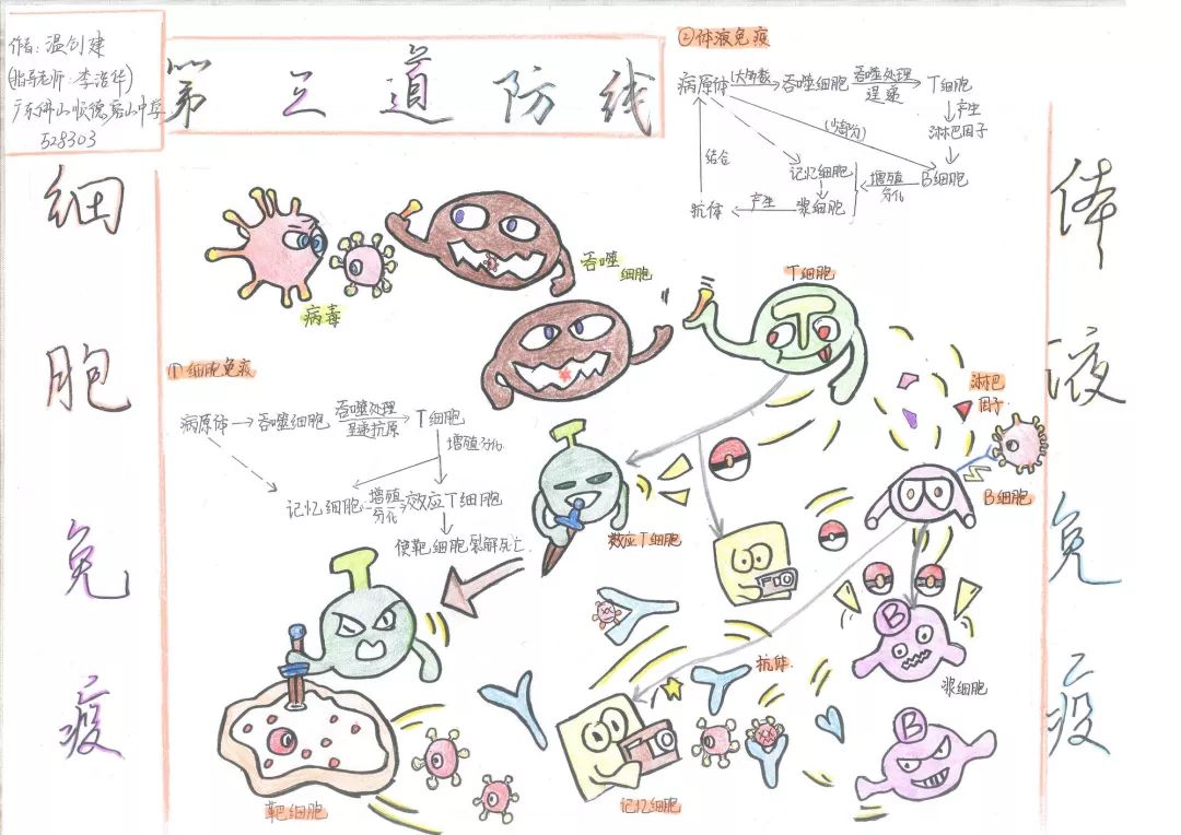 2019学生生物学绘图大赛丨作品展示(一)